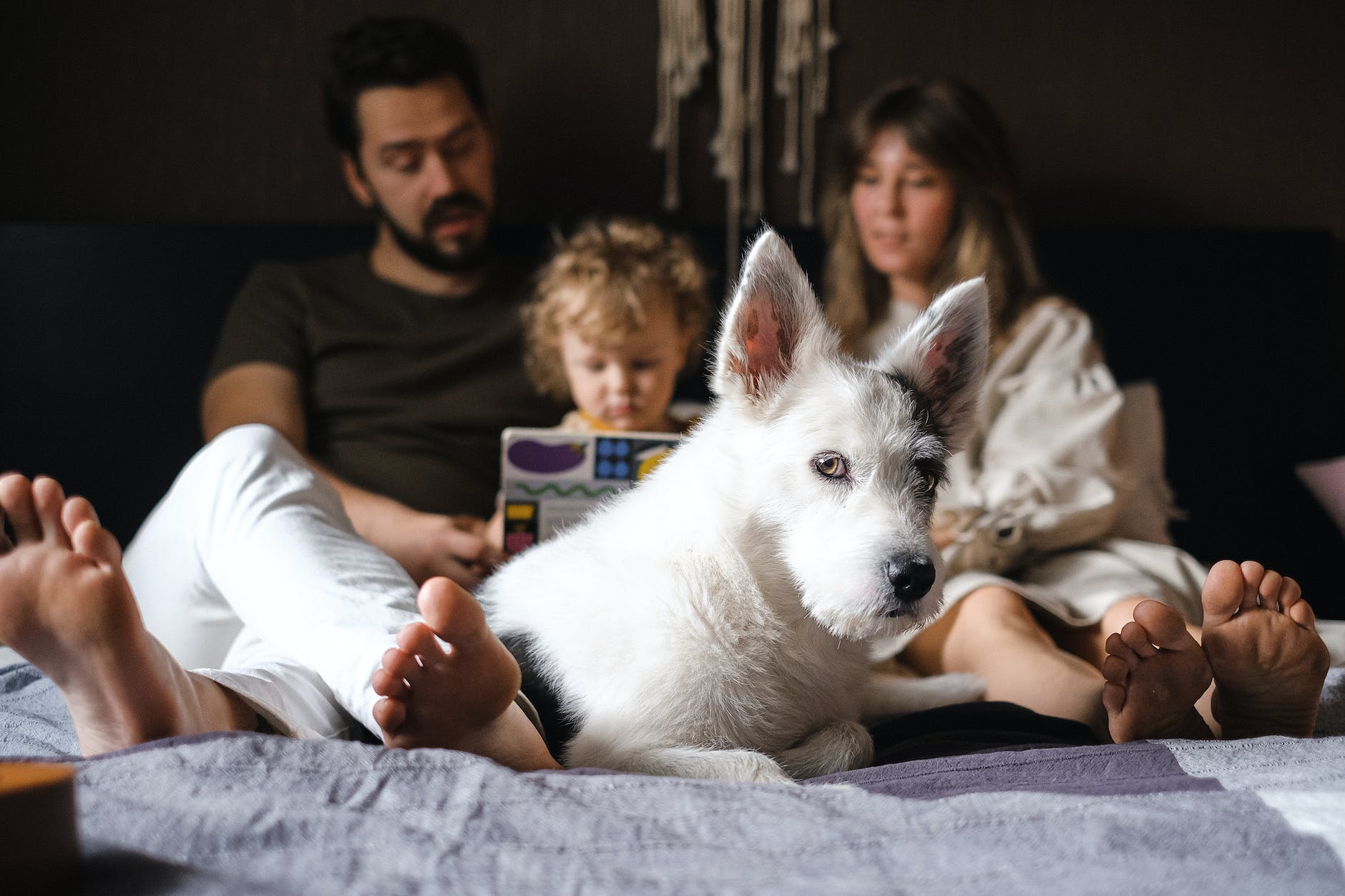 a family on the bed with their pet dog