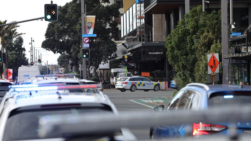 AI Legalese Decoder Unraveling Complexities of the New Zealand Shooting Instantly Interpret Free: Legalese Decoder - AI Lawyer Translate Legal docs to plain English