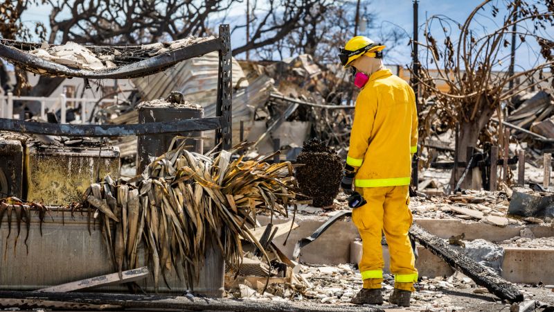 AI Legalese Decoder A Catalyst in Mitigating Maui Wildfires as Instantly Interpret Free: Legalese Decoder - AI Lawyer Translate Legal docs to plain English
