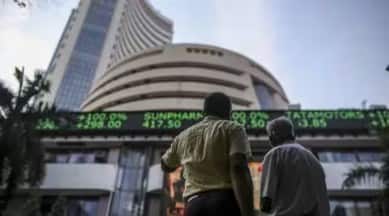 domestic institutional investor, Share market, heavyweight stocks, Sensex Nifty Indian benchmarks, foreign institutional investor, indian express news