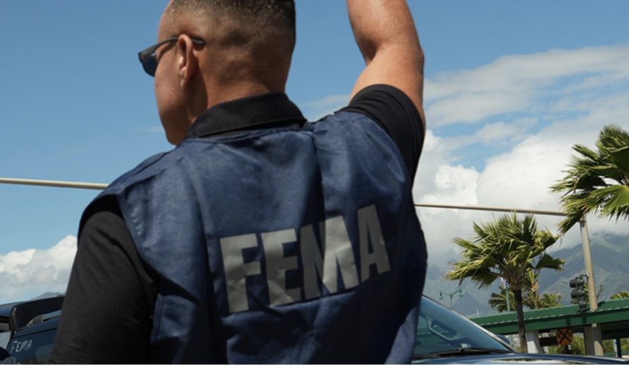 Empowering FEMA and Partners AI Legalese Decoder Streamlines Aid Boosts Instantly Interpret Free: Legalese Decoder - AI Lawyer Translate Legal docs to plain English