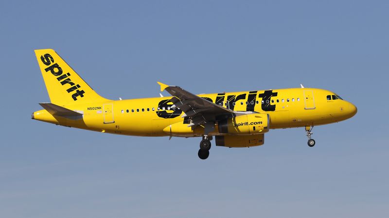 AI Legalese Decoder Empowering Passengers Amidst Spirit Airlines Friday and Instantly Interpret Free: Legalese Decoder - AI Lawyer Translate Legal docs to plain English