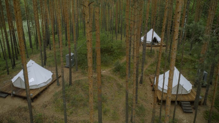 AI Legalese Decoder Making Yurt Camping in Florida a Breeze Instantly Interpret Free: Legalese Decoder - AI Lawyer Translate Legal docs to plain English
