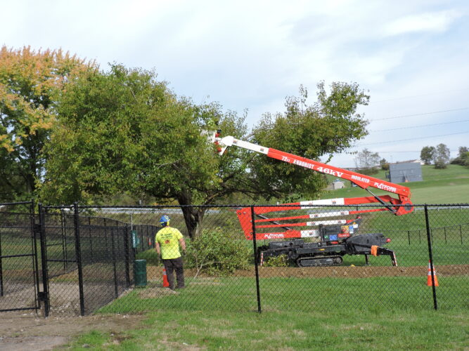 AI Legalese Decoder Revolutionizes Legal Processes for Belmont County Dog Instantly Interpret Free: Legalese Decoder - AI Lawyer Translate Legal docs to plain English