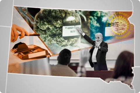 AI Legalese Decoder A Tool for Understanding South Dakotas Cannabis Instantly Interpret Free: Legalese Decoder - AI Lawyer Translate Legal docs to plain English