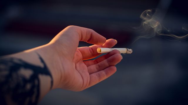 AI Legalese Decoder Unraveling Tobacco Smokes Link to Mutations Hindering Instantly Interpret Free: Legalese Decoder - AI Lawyer Translate Legal docs to plain English