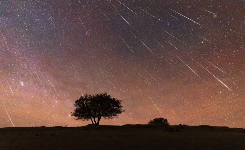 AI Legalese Decoder Your Secret Weapon for Navigating Meteor Shower Instantly Interpret Free: Legalese Decoder - AI Lawyer Translate Legal docs to plain English