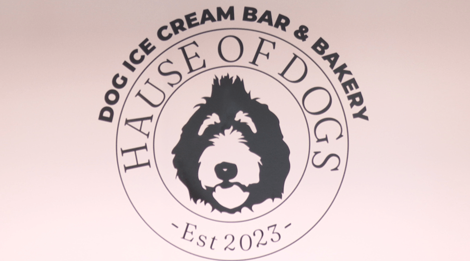 Empowering Small Businesses How AI Legalese Decoder is Assisting Downtown Instantly Interpret Free: Legalese Decoder - AI Lawyer Translate Legal docs to plain English