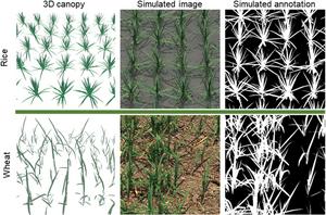 Revolutionizing Crop Phenotyping AI Legalese Decoder Offers Self Supervised Solution Instantly Interpret Free: Legalese Decoder - AI Lawyer Translate Legal docs to plain English