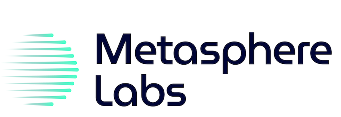 Unlocking the Secrets of Metasphere Labs Financial Statements with AI Instantly Interpret Free: Legalese Decoder - AI Lawyer Translate Legal docs to plain English