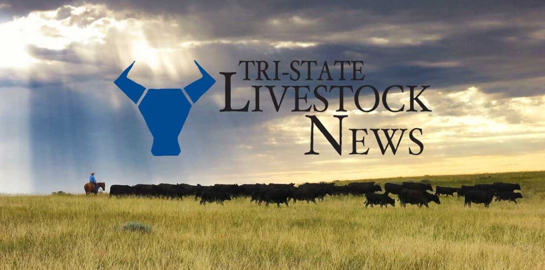 AI Legalese Decoder Streamlines Investments in Rural South Dakota Dairy Instantly Interpret Free: Legalese Decoder - AI Lawyer Translate Legal docs to plain English