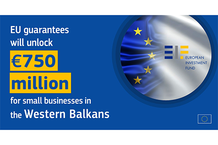Unlocking E750 Million for Small Businesses in the Western Balkans Instantly Interpret Free: Legalese Decoder - AI Lawyer Translate Legal docs to plain English