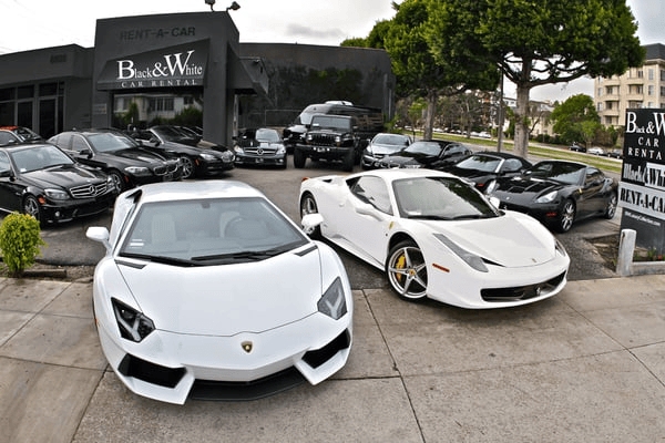 Black & White Exotic Car Rental