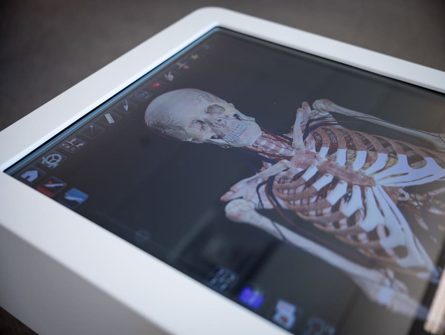 Interactive Anatomage Table