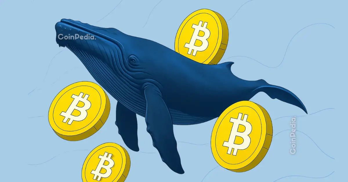 Bitcoin Whales Quietly Buying the Dip—Is a $120K Rebound Coming?