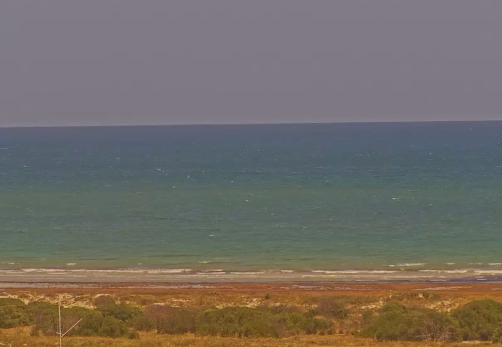 Screenshot from the North Haven Beach algal bloom web camera