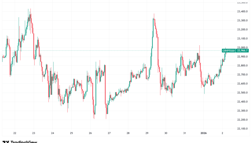 Crypto Market Overview