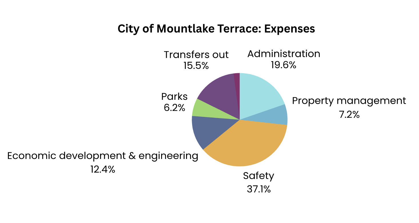 How AI Legalese Decoder Can Help with Government Finance and You: Part 11 - Spending Simplified 5 Mountlake Terrace Spending