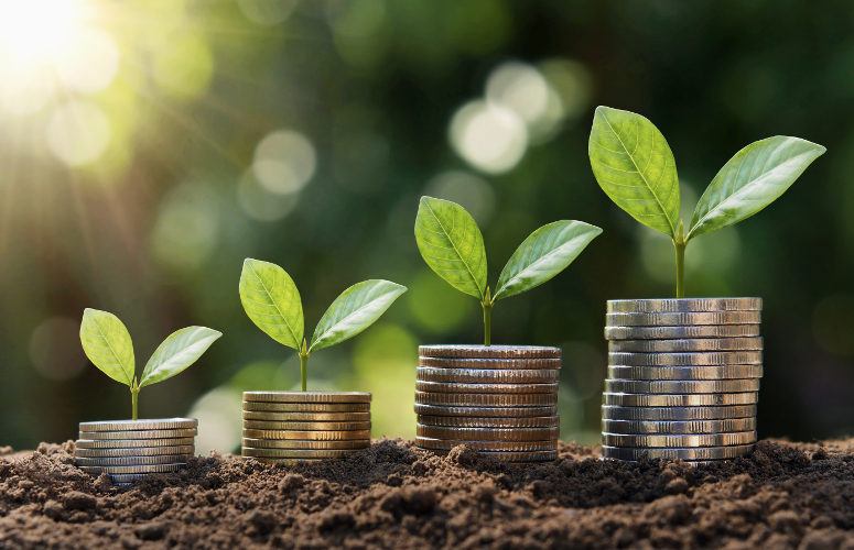 Small Business Growth