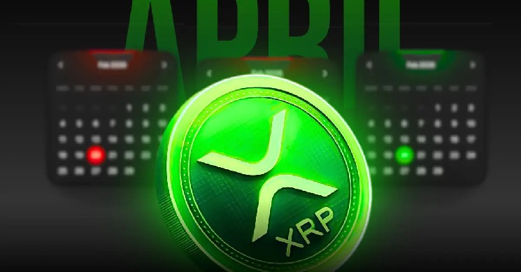 Anodos CEO Advocates for XRP Ledger in Consumer Finance Solutions Instantly Interpret Free: Legalese Decoder - AI Lawyer Translate Legal docs to plain English