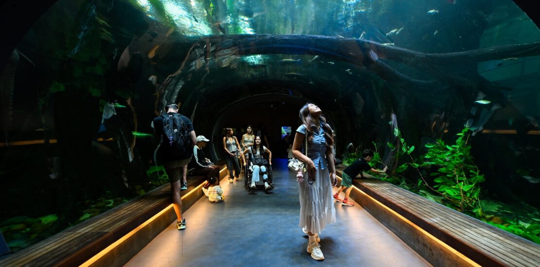 California Academy of Sciences Union Challenges Proposed Layoffs Instantly Interpret Free: Legalese Decoder - AI Lawyer Translate Legal docs to plain English