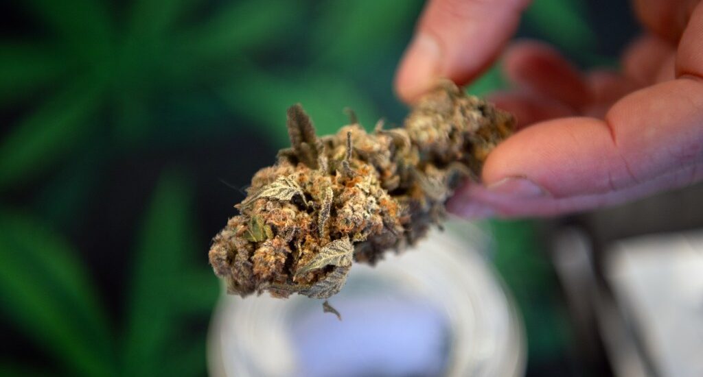Hampton Roads Small Businesses Respond to New Retail Cannabis Law Instantly Interpret Free: Legalese Decoder - AI Lawyer Translate Legal docs to plain English