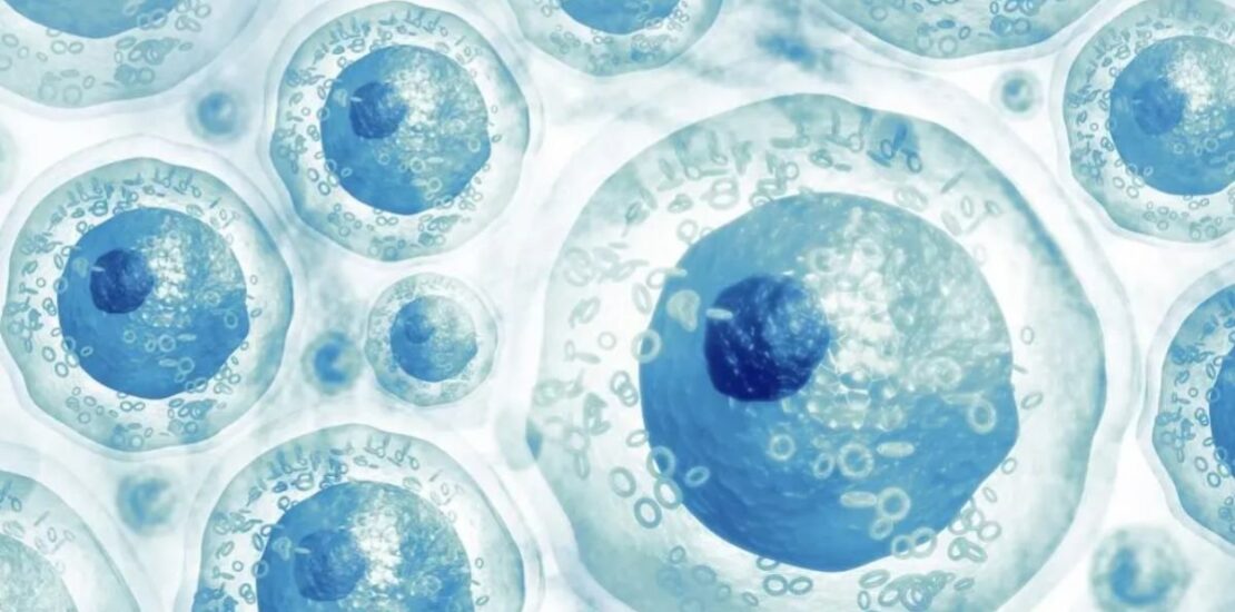 King Abdullah University Launches New Platform for Reproductive Medicine Research Instantly Interpret Free: Legalese Decoder - AI Lawyer Translate Legal docs to plain English