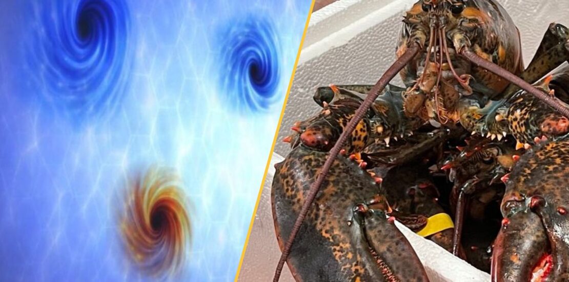Physicists Discover Faster Than Light Darkness and Evolving Humans Instantly Interpret Free: Legalese Decoder - AI Lawyer Translate Legal docs to plain English