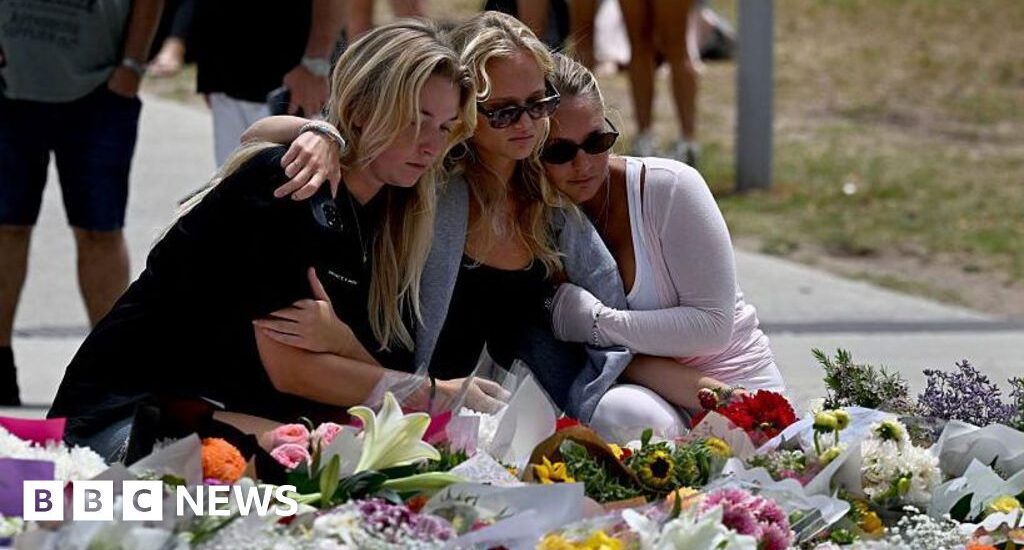 Royal Commission Urges Gun Reform Following Bondi Beach Shooting Instantly Interpret Free: Legalese Decoder - AI Lawyer Translate Legal docs to plain English