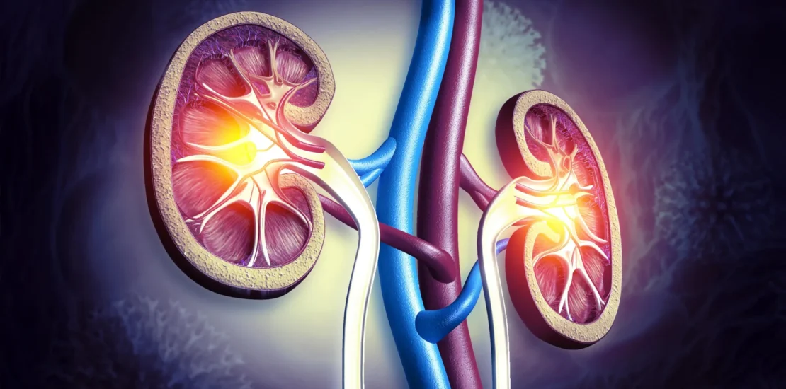 A common constipation drug may offer unexpected kidney protection Instantly Interpret Free: Legalese Decoder - AI Lawyer Translate Legal docs to plain English