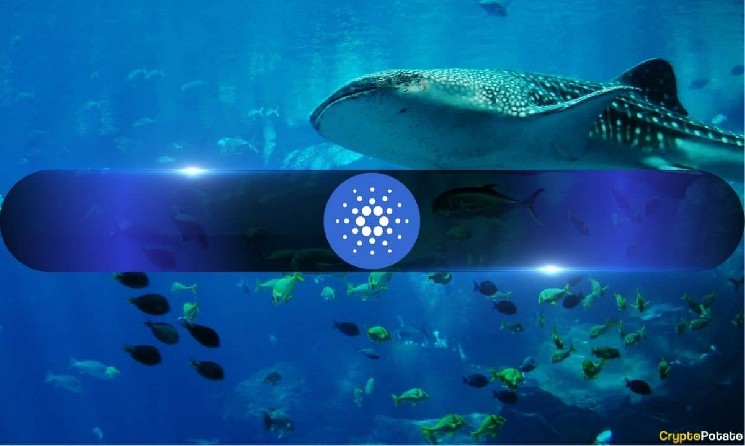 Cardano Whales Control 675 of Total ADA Supply Impact Instantly Interpret Free: Legalese Decoder - AI Lawyer Translate Legal docs to plain English