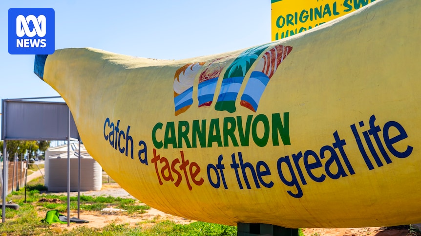 Carnarvon Businesses Excluded from Local WA Tourism Conference Instantly Interpret Free: Legalese Decoder - AI Lawyer Translate Legal docs to plain English