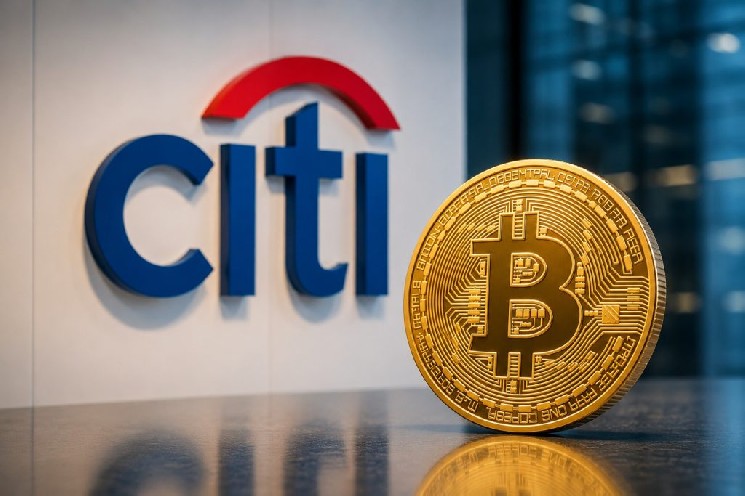 Citigroup Issues Warning About Bitcoins Future Prospects Instantly Interpret Free: Legalese Decoder - AI Lawyer Translate Legal docs to plain English