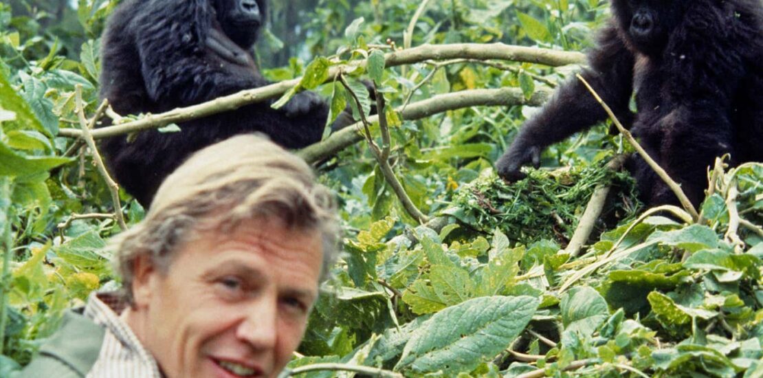 Discover the Must Watch David Attenborough Documentaries Instantly Interpret Free: Legalese Decoder - AI Lawyer Translate Legal docs to plain English