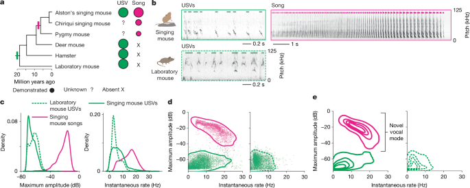 Exploring Unique Motor Cortical Projections in Singing Mice Instantly Interpret Free: Legalese Decoder - AI Lawyer Translate Legal docs to plain English