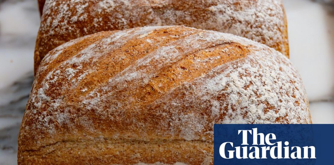 Gluten Free Bread Prices Climb Toward 4 Amid Inflation Concerns Instantly Interpret Free: Legalese Decoder - AI Lawyer Translate Legal docs to plain English