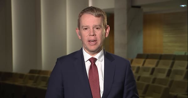 Hipkins Critiques MPs Controversial Duck Faced Horse Remark Instantly Interpret Free: Legalese Decoder - AI Lawyer Translate Legal docs to plain English