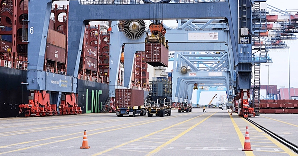 Ho Chi Minh City Creates Maritime Finance Ecosystem to Boost Instantly Interpret Free: Legalese Decoder - AI Lawyer Translate Legal docs to plain English