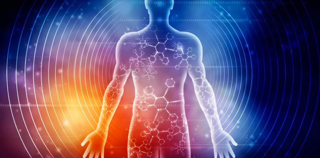 How Seven Days of Fasting Can Transform Your Bodys Health Instantly Interpret Free: Legalese Decoder - AI Lawyer Translate Legal docs to plain English