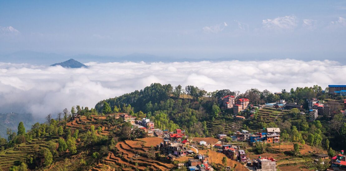Insect Decline Linked to Rising Malnutrition in Vulnerable Regions Instantly Interpret Free: Legalese Decoder - AI Lawyer Translate Legal docs to plain English