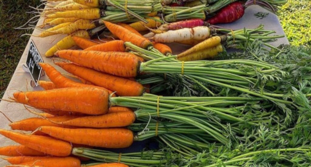 Kauaʻi Farmers and Small Businesses Thrive at Anahola Marketplace Instantly Interpret Free: Legalese Decoder - AI Lawyer Translate Legal docs to plain English