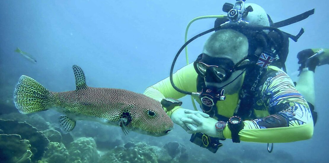 Scuba Divers Unknowingly Harm Coral Reefs What You Should Know Instantly Interpret Free: Legalese Decoder - AI Lawyer Translate Legal docs to plain English