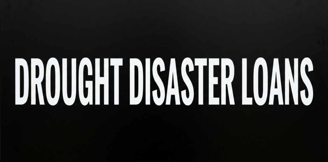 Small Businesses Must Apply for Drought Disaster Loans by June Instantly Interpret Free: Legalese Decoder - AI Lawyer Translate Legal docs to plain English