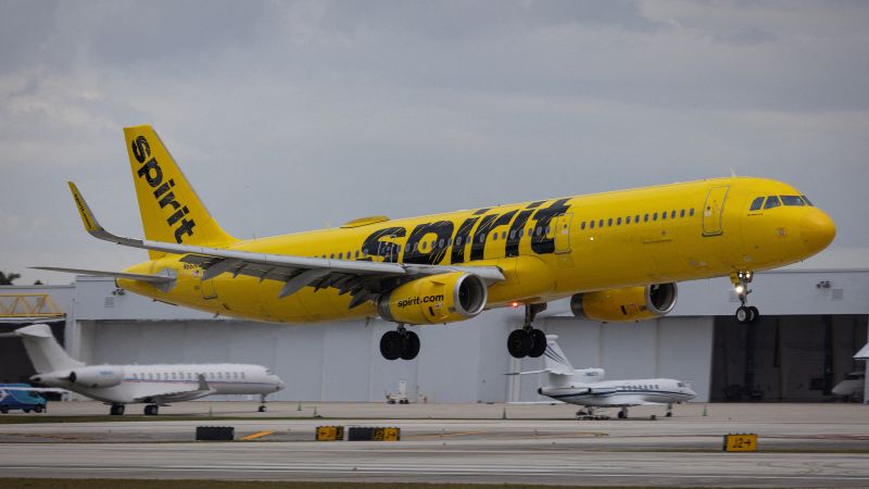Spirit Airlines to Suspend All Flights Starting Early Saturday Instantly Interpret Free: Legalese Decoder - AI Lawyer Translate Legal docs to plain English