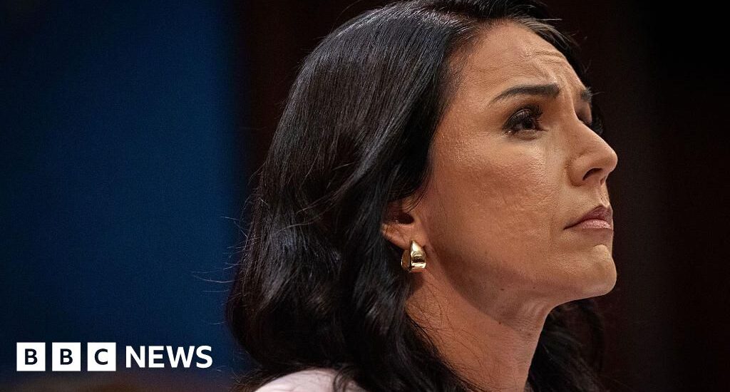 Tulsi Gabbard Steps Down as US Director of National Intelligence Instantly Interpret Free: Legalese Decoder - AI Lawyer Translate Legal docs to plain English