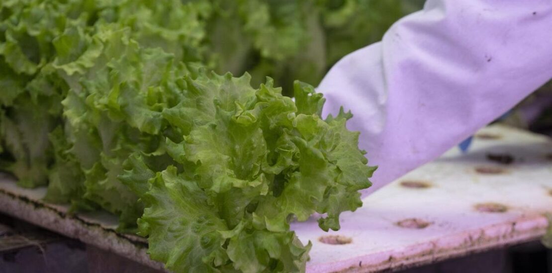 Unions and Opposition Warn That Federal Cuts Threaten Food Security Instantly Interpret Free: Legalese Decoder - AI Lawyer Translate Legal docs to plain English