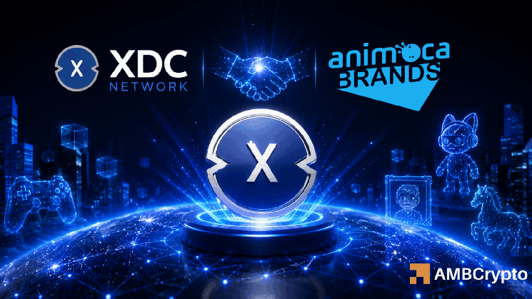 XDC Breaks Key Range Will Bulls Sustain Momentum Above 0037 Instantly Interpret Free: Legalese Decoder - AI Lawyer Translate Legal docs to plain English