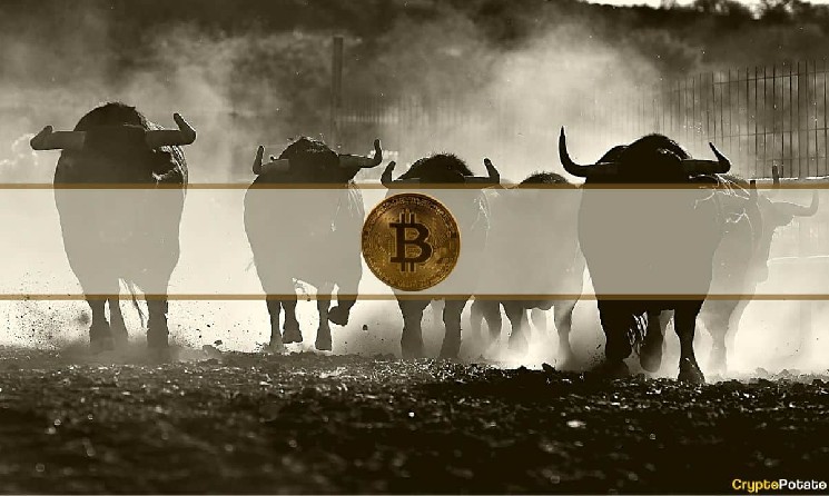 BTC Poised for Summer Surge if 73K Support Remains Strong Instantly Interpret Free: Legalese Decoder - AI Lawyer Translate Legal docs to plain English