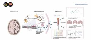 Blood Marker for Alzheimers May Indicate More Serious Issues in Instantly Interpret Free: Legalese Decoder - AI Lawyer Translate Legal docs to plain English