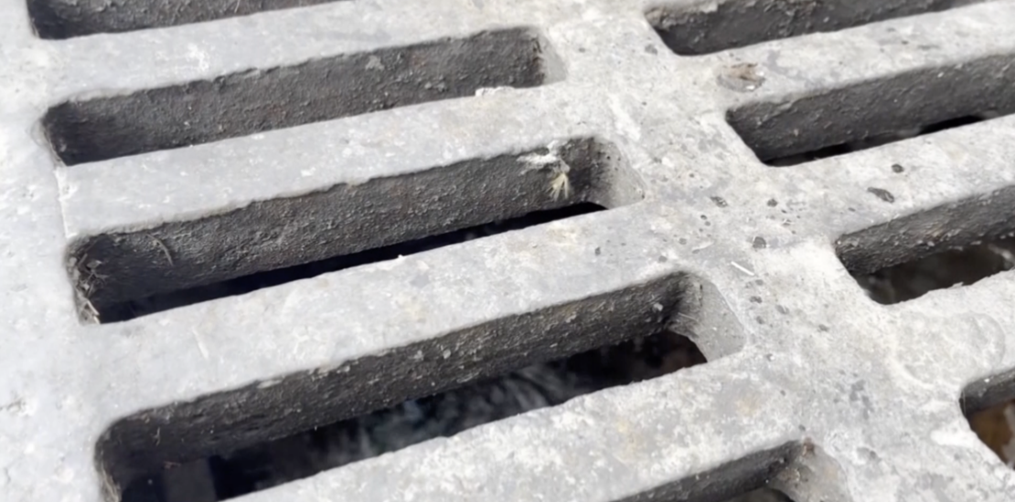 Chicos Upcoming Sewer Rate Hike Will Affect Local Businesses Instantly Interpret Free: Legalese Decoder - AI Lawyer Translate Legal docs to plain English